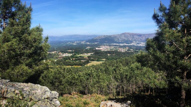 áreas de restauración ecológica