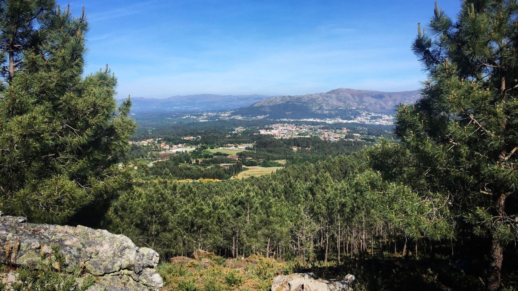 áreas de restauración ecológica