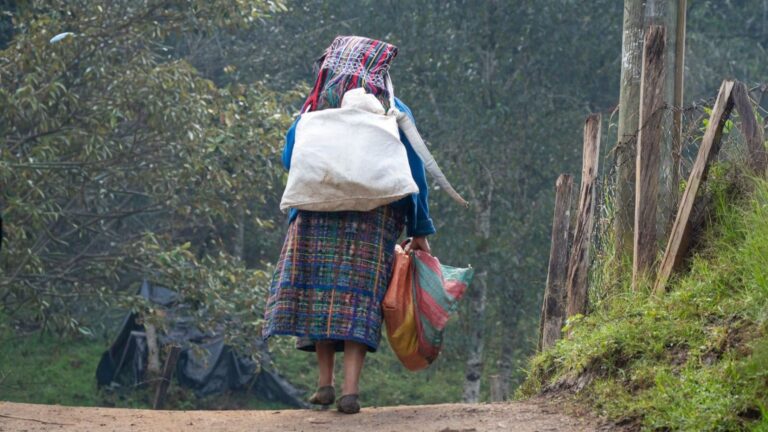 Pobreza de los pueblos indígenas: territorio, sistemas alimentarios y derechos colectivos