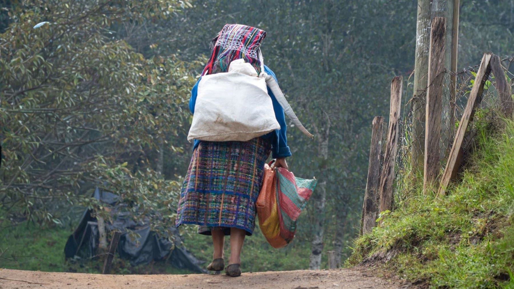 Pobreza de los pueblos indígenas: territorio, sistemas alimentarios y derechos colectivos