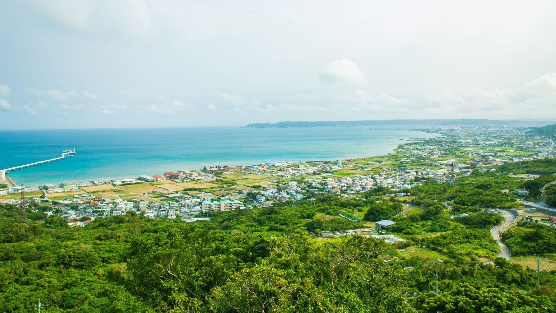 Urbanización costera y peces: damisela azul estudiada en los arrecifes de Okinawa