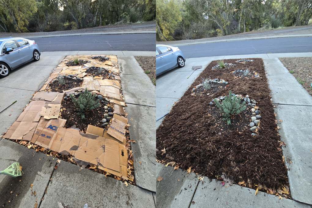 Parterre cubierto con cartón y después con acolchado de corteza