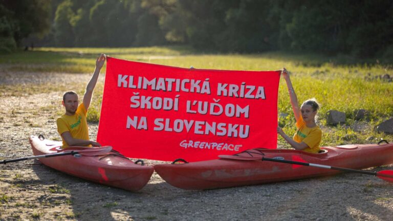 activistas greenpeace kayaks terreno seco