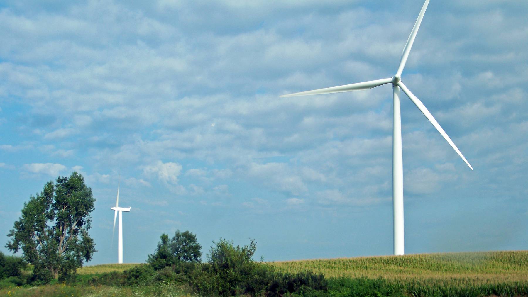 Aerogeneradores junto a campos de cultivo y árboles en Iowa drenajes rotos