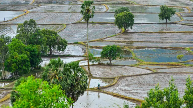 Agricultores vietnamitas en un entorno rural de agricultura en el delta del Mekong