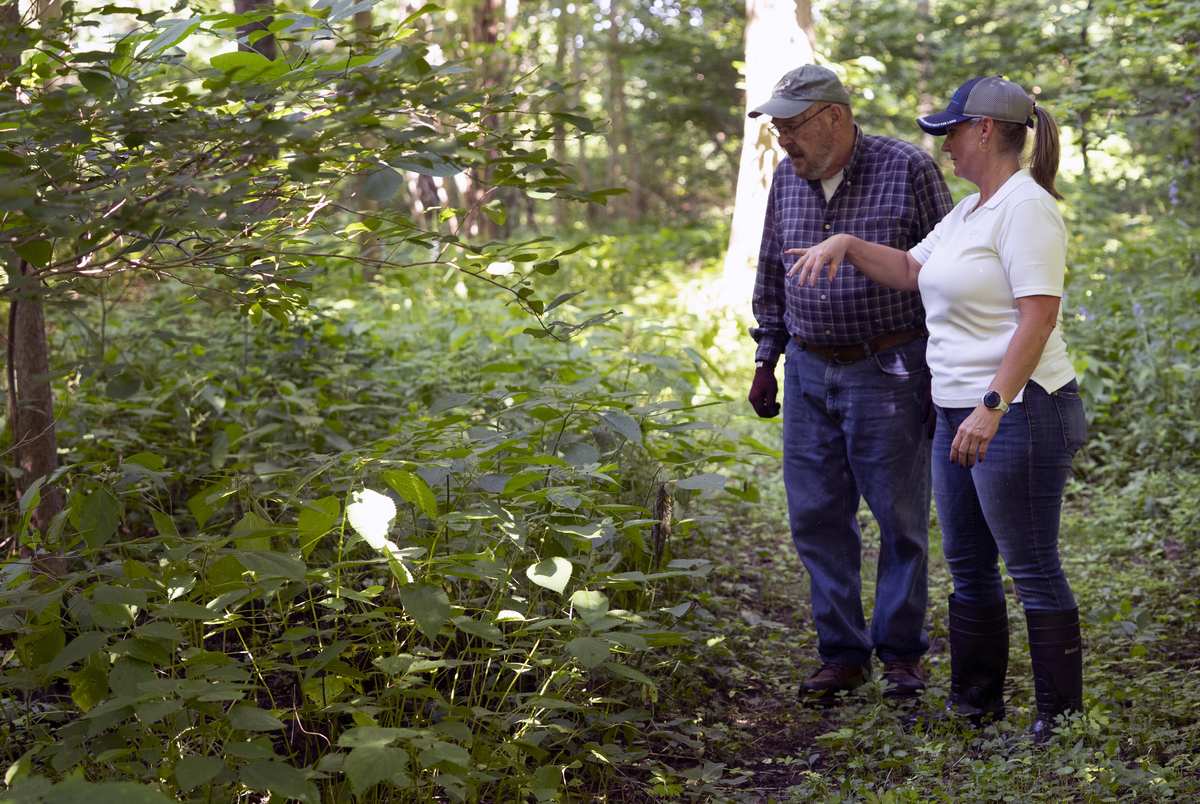 Andrea Baker, conservacionista de distrito del NRCS, señala la vegetación junto a Jim Wicks en su finca de Indiana