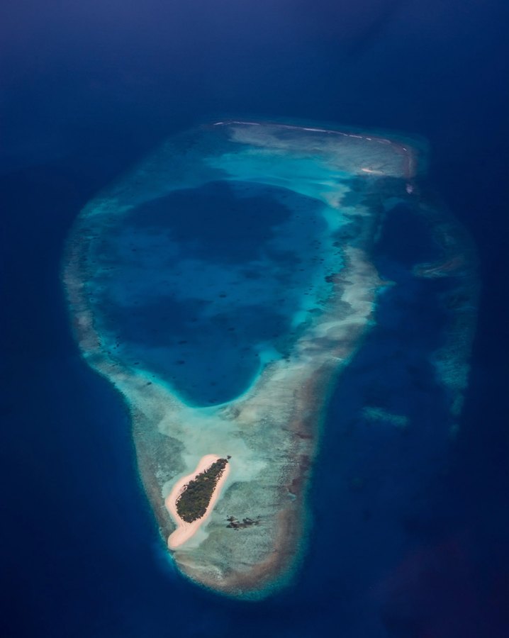 Vista aérea del arrecife de Hanifaru, con su isla, la laguna central y la bahía donde comen las mantas