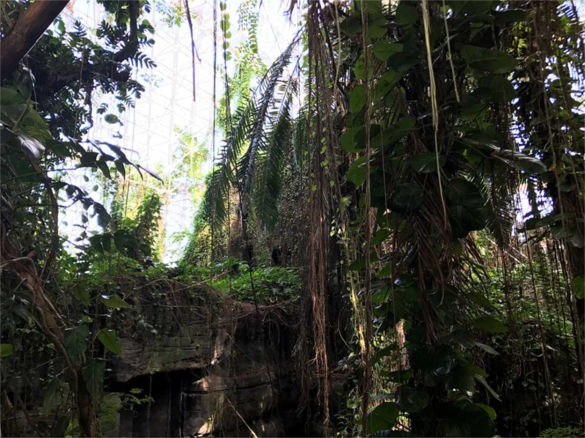 Interior del bioma de selva tropical de Biosfera 2, en Arizona