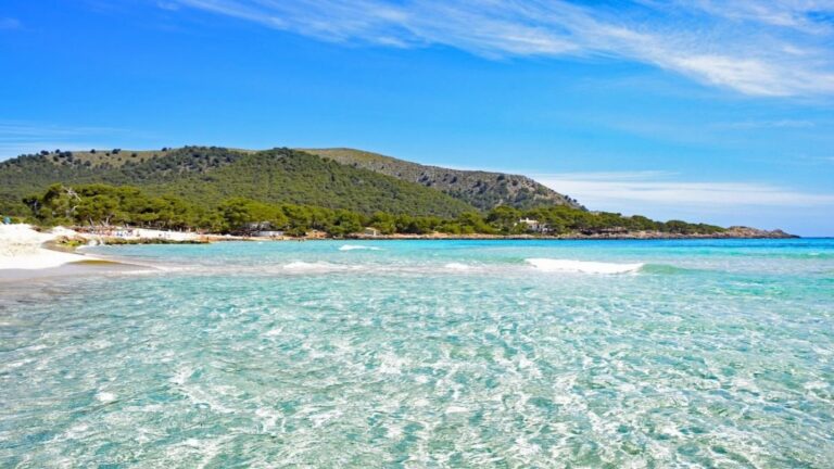 Vista de la playa de Cala Estància y las edificaciones próximas al litoral de Palma.