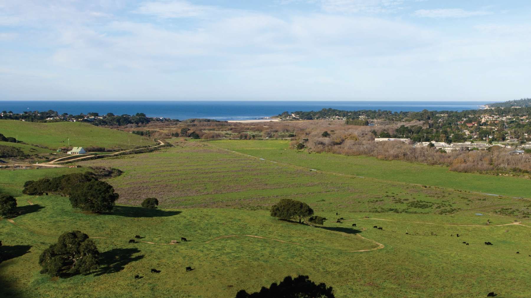 Prados junto al río Carmel, en California, con ganado, la playa y el mar al fondo