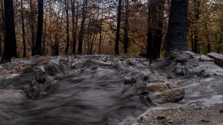 Arrastre de cenizas de incendios en el agua procedente de terrenos quemados en Burgohondo, Ávila.