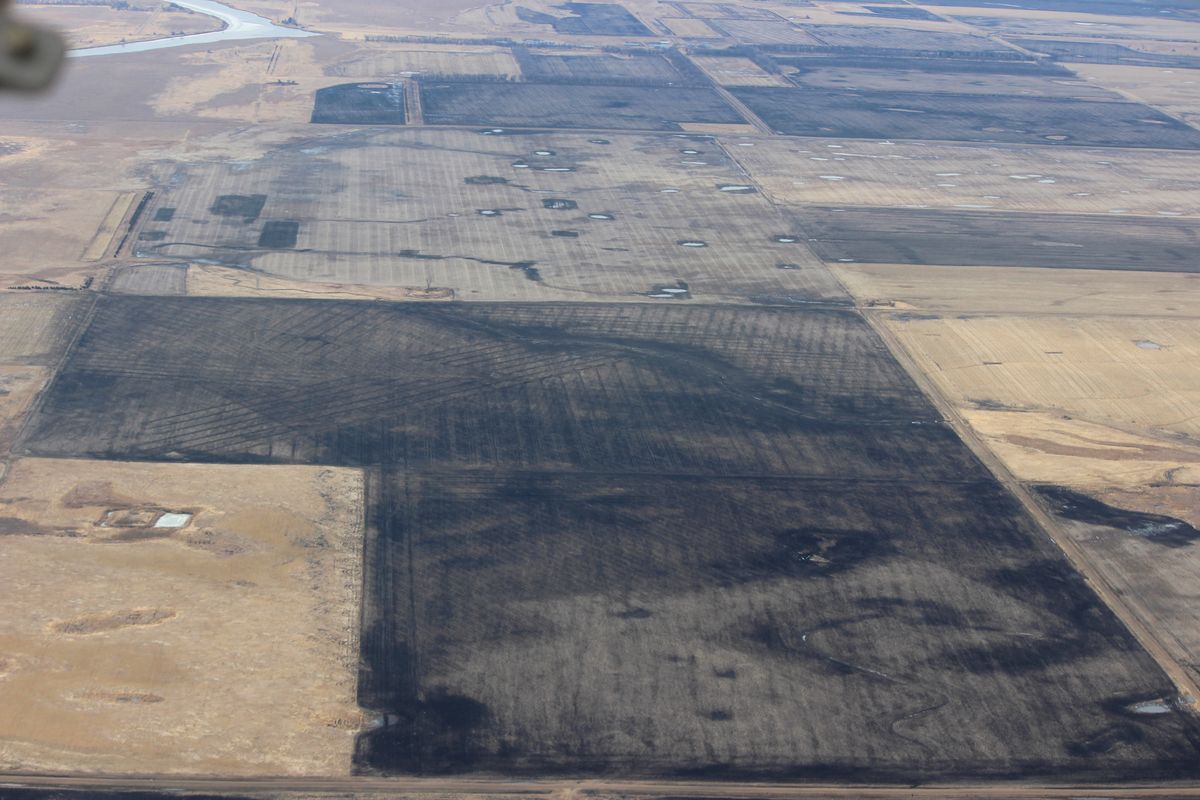 Campos vistos desde el aire con franjas paralelas que marcan los drenajes