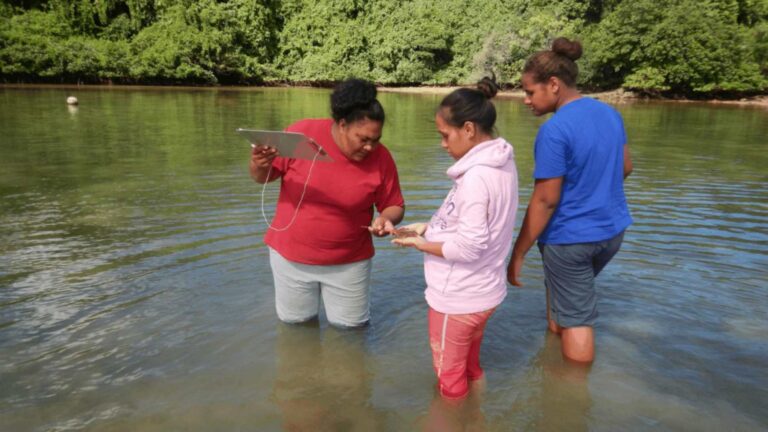 Un equipo examina vida marina en aguas costeras de Tonga, uno de los cinco países de la nueva ronda del Bezos Earth Fund