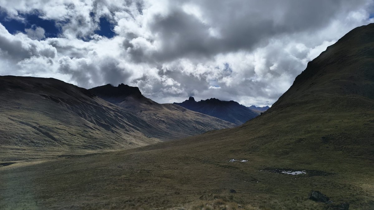 Pajonales y montañas bajo las nubes en los Andes del norte de Perú, hábitat de la nueva especie de orquídea