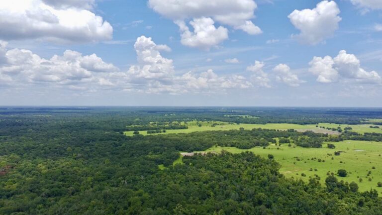 Vista aérea de praderas y bosque en un rancho del condado de Hardee, en Florida rancho en Florida