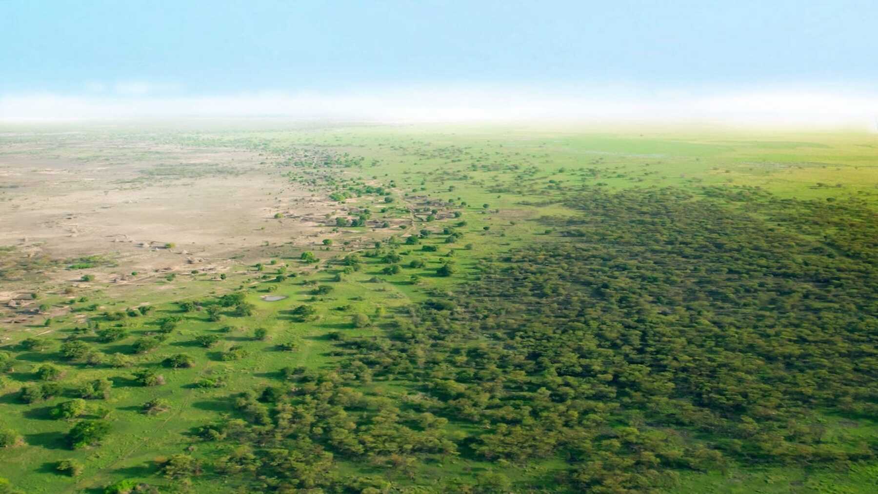 Trabajos de restauración de tierras vinculados a la Gran Muralla Verde en África
