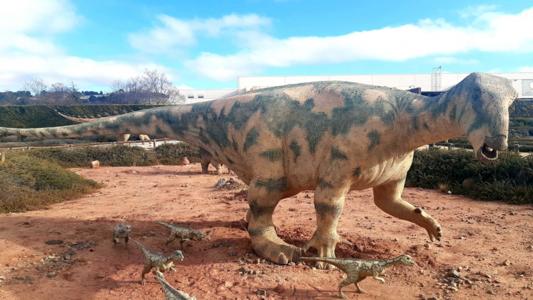 Fósiles de crías de Iguanodon galvensis procedentes de Galve, Teruel