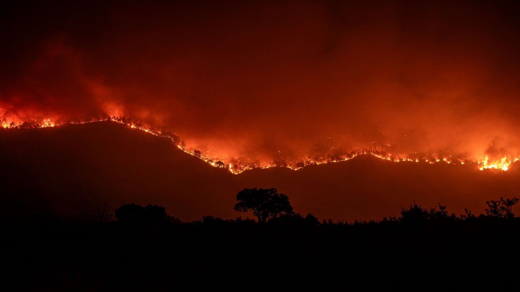 Trabajos de desbroce para la prevención de incendios forestales en España