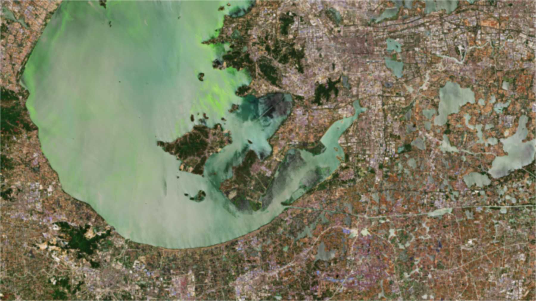 Aguas verdosas del lago Taihu, en China, vistas por el satélite Sentinel-2, donde se probaron las nanoburbujas