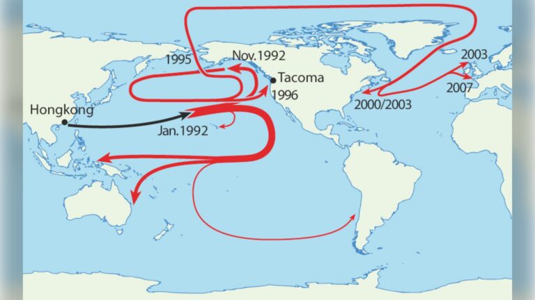 Mapa con las rutas de deriva por el Pacífico Norte de los juguetes de plástico caídos al mar en 1992