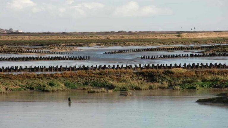 Operarios colocan bloques de marismas en el canal de oleaje Delta Flume