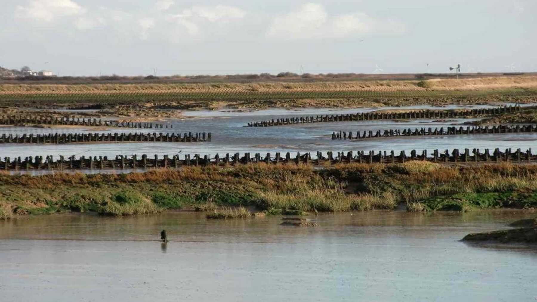 Operarios colocan bloques de marismas en el canal de oleaje Delta Flume