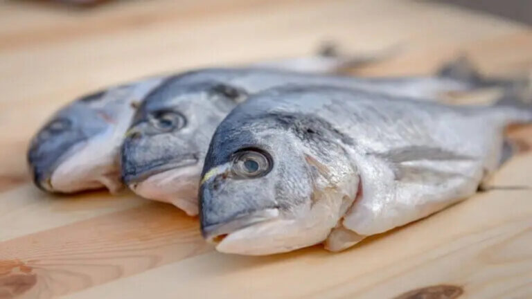 Piezas de atún para ilustrar la información sobre mercurio en el pescado y cambio climático