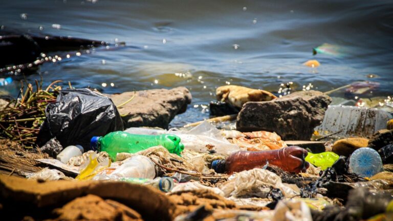 Muestra de laboratorio utilizada para analizar microplásticos en el agua