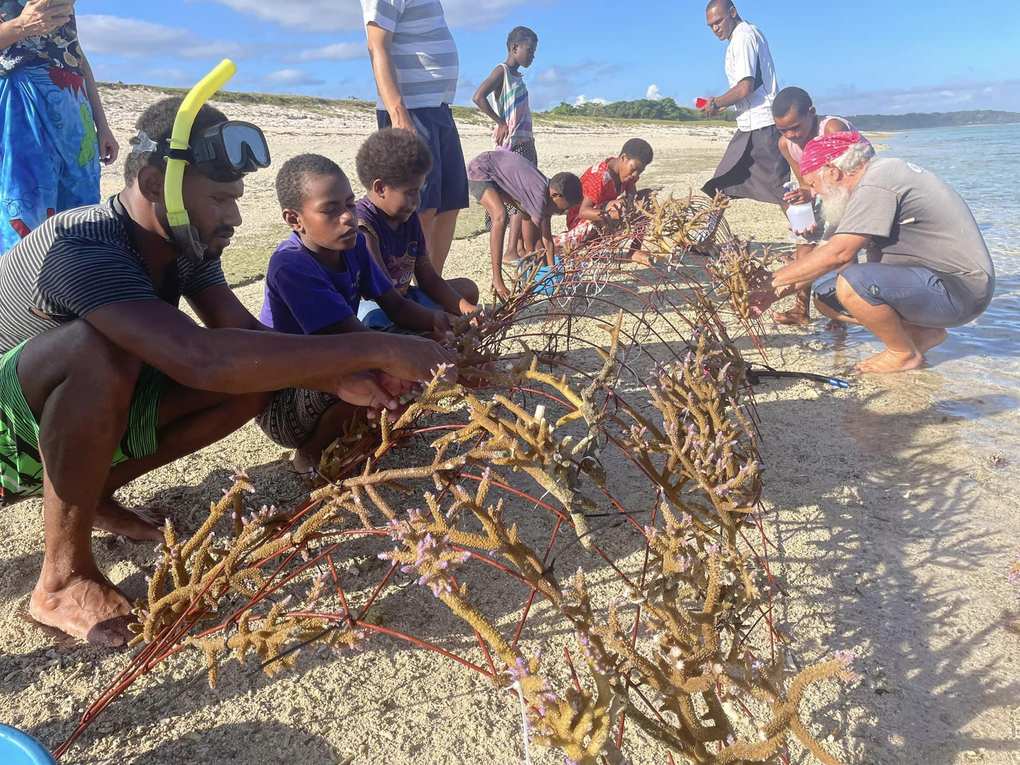Niños y adultos colocan fragmentos de coral en estructuras metálicas en arco sobre la arena de una playa
