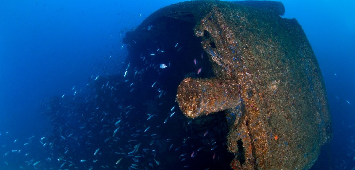 Pecio hundido como arrecife artificial en Gibraltar, rodeado de peces