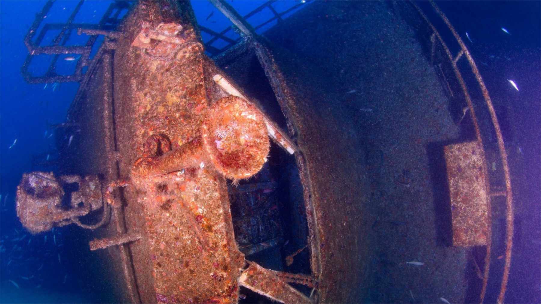 Pecio del Sun Swale, uno de los arrecifes artificiales de Gibraltar