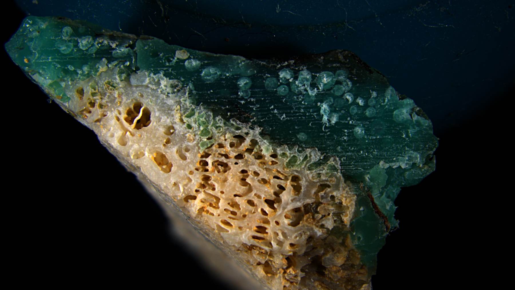 Coral con plástico fundido hallado en la playa de Sosu, en Okinawa