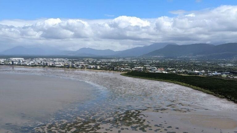 Vista aérea de las praderas marinas de la bahía de Cairns con la marea baja, el manglar y la ciudad al fondo