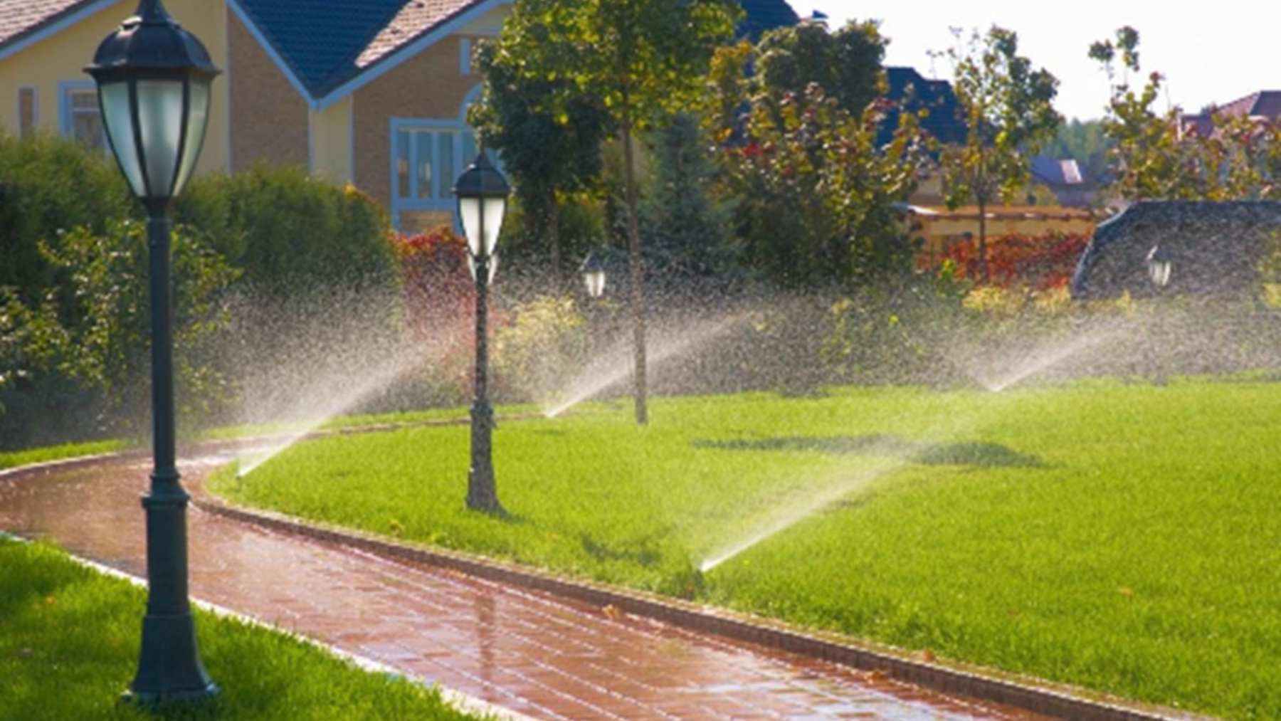 Aspersores regando un césped decorativo junto a un camino, el tipo de riego que California prohibirá con agua potable