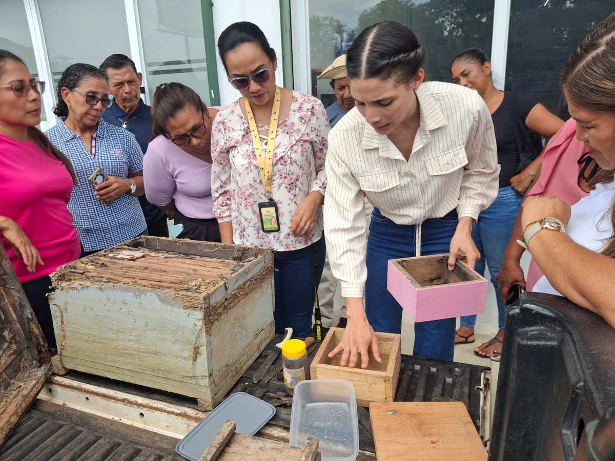 Una formadora muestra a los apicultores una caja para abejas sin aguijón junto a una colmena abierta en Chilibre